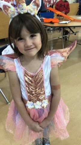 Fairy